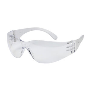 Standard Safety Glasses - Clear (Pack of 1)